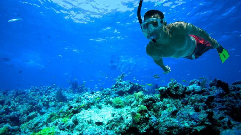 Diving Di Kepulauan Seribu